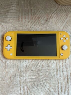 Nintendo switch lite